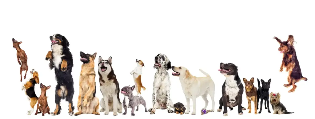 About Us Color Header