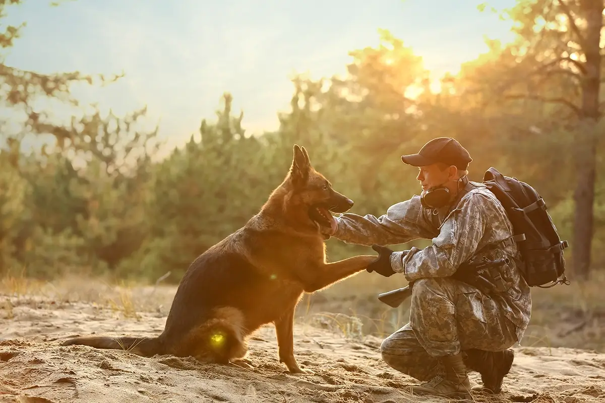 Dog & Veteran