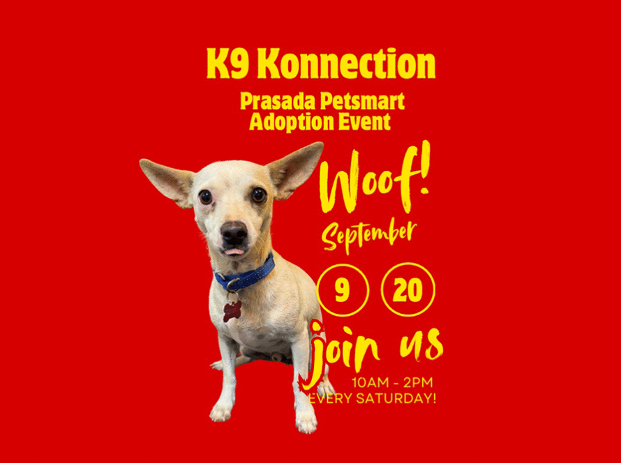 K9 Konnection PetSmart Prasada 20