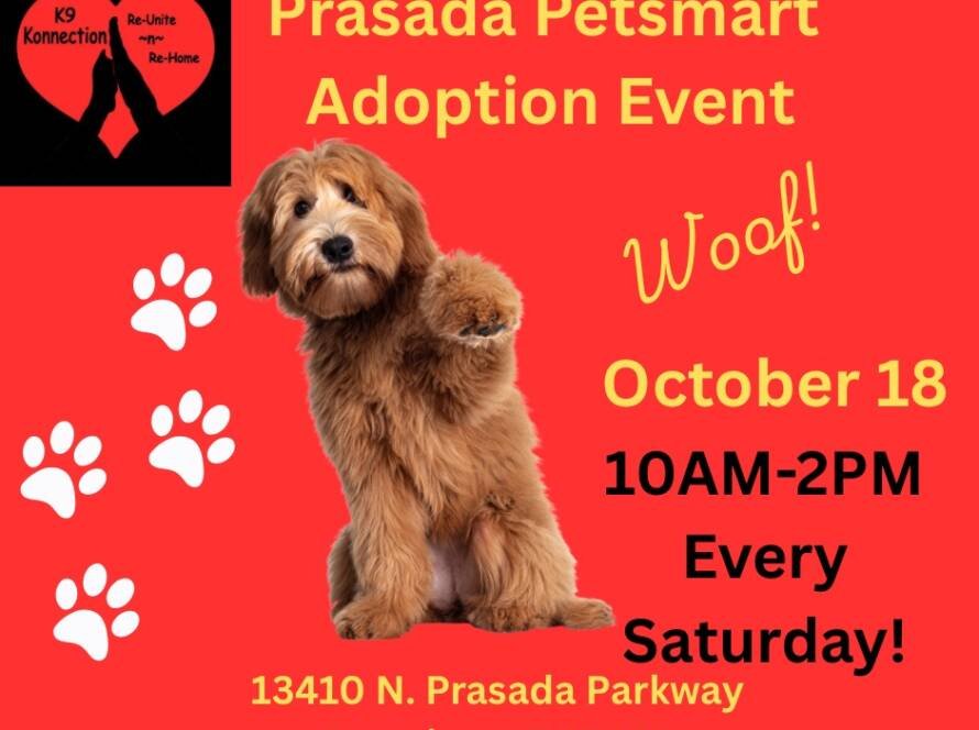 K9 Konnection - PetSmart Adoption Event